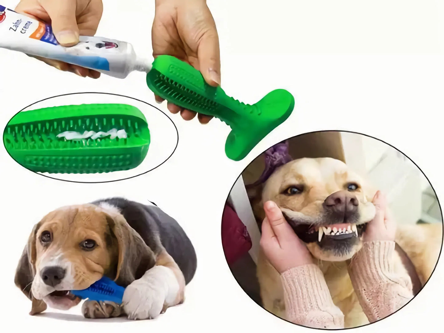 Juguete Cepillo De Dientes Para Perro Limpieza Dental - Teleproductos Bogotá 